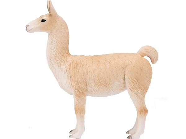 Mojo Lama