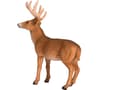 Miniatyrbild 3 av 3: Mojo Red Deer