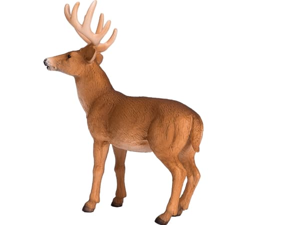 Mojo Red Deer
