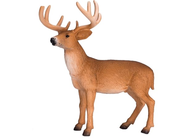 Mojo Red Deer