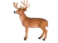 Miniatyrbild 1 av 3: Mojo Red Deer