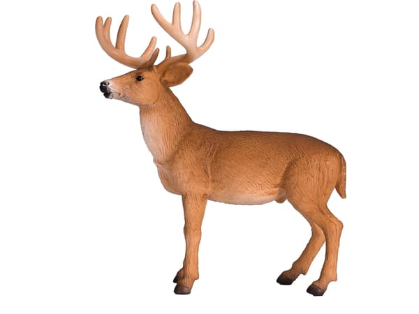 Mojo Red Deer