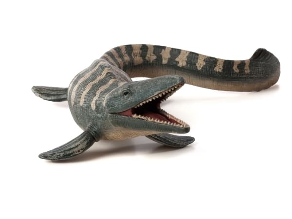 Mojo Tylosaurus