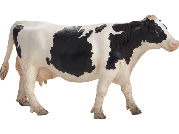 Mojo Holstein Ko
