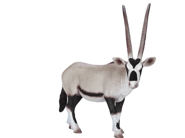 Mojo Oryx Antilooppi