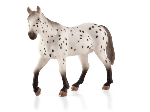 Mojo Appaloosa Hingst