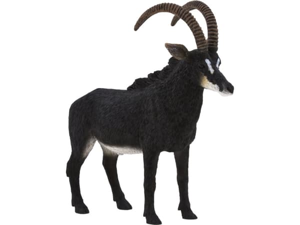 Mojo Stor Antilope