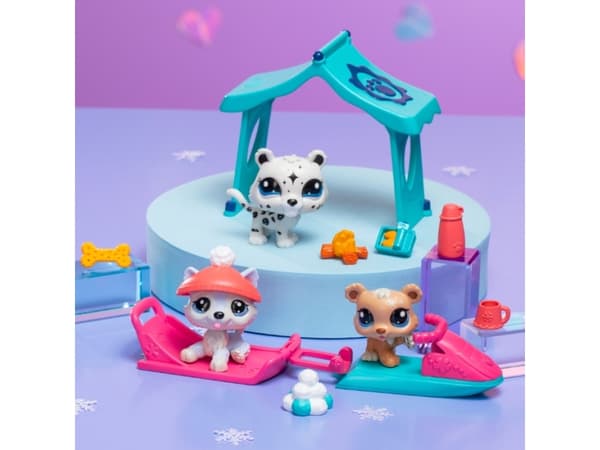 LITTLEST PET SHOP SNOWY DAY PLAY PK