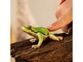 Miniatyrbild 3 av 5: Schleich European Tree Frog