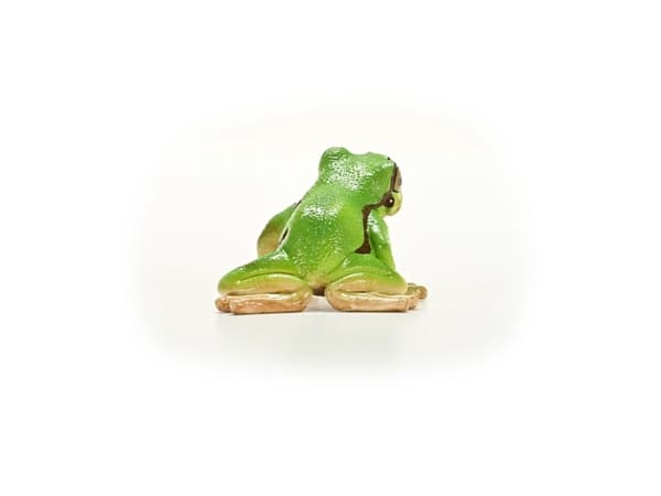 Schleich European Tree Frog