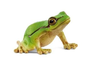 Schleich European Tree Frog