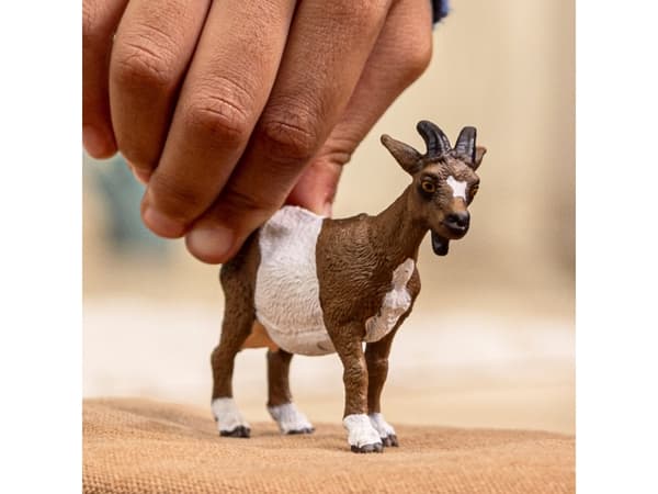 schleich FARM WORLD Goat, 3 yr(s), Multicolour
