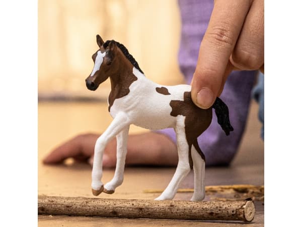 schleich HORSE CLUB Paint Horse Foal, 5 yr(s), Multicolour