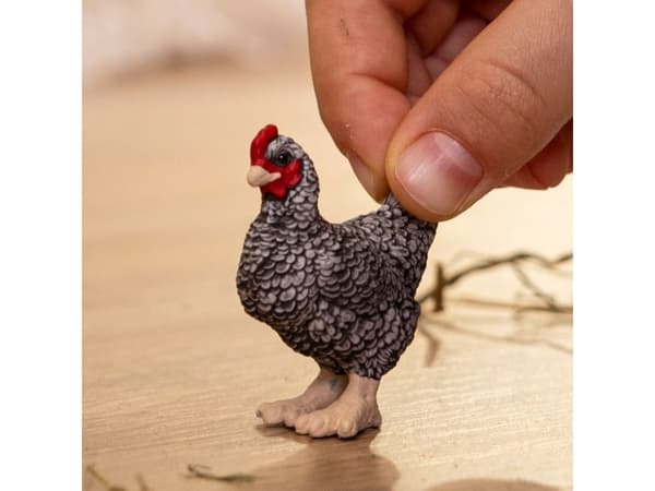 schleich FARM WORLD Plymouth Rock Chicken, 3 yr(s), Multicolour