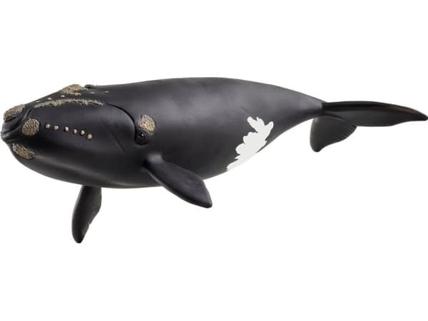 Schleich North Atlantic Right Whale