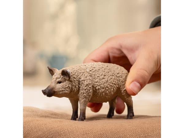 schleich FARM WORLD Mangalica Pig, 3 yr(s), Multicolour