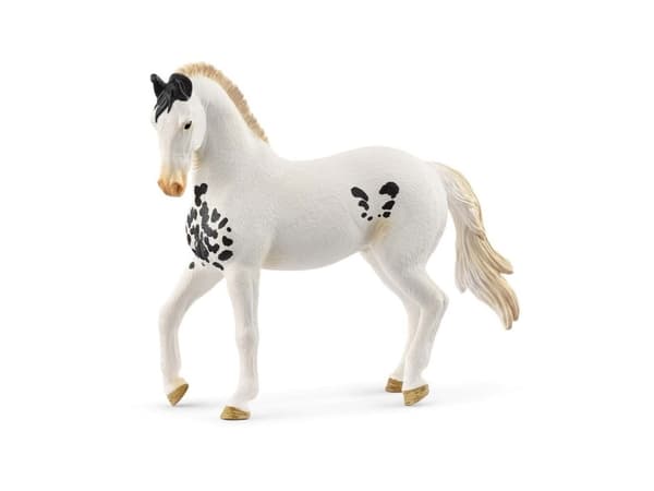 Schleich Marwari Stallion
