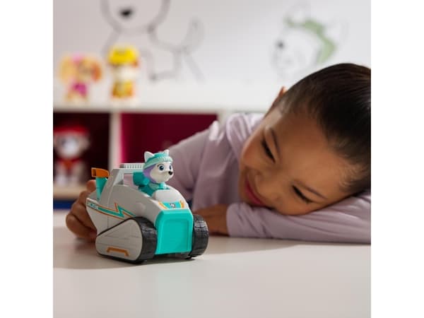 Paw Patrol Basic Vehicle 2.0 - Everest