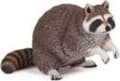 Miniatyrbilde 2 av 2: Raccoon