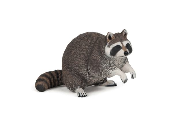 Raccoon
