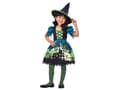 Miniatyrbild 1 av 4: Hocus Pocus häxdräkt