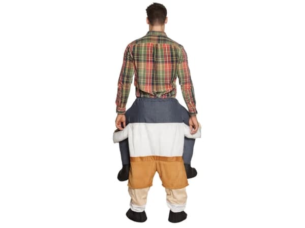 Boland 88096, Fancy kostyme, Voksen, Unisex, Andre, Flerfarget, Alle kjønn