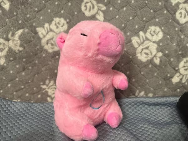 Andande Kapybara och Utter Gosedjur med Ljus & Ljud - Rosa