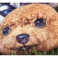 Miniatyrbild 3 av 3: TD® Rolig 3D Dog Print Kudde Kudde Kreativ Söt Fylld Docka Present Heminredning
