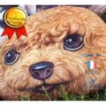 Miniatyrbild 1 av 3: TD® Rolig 3D Dog Print Kudde Kudde Kreativ Söt Fylld Docka Present Heminredning