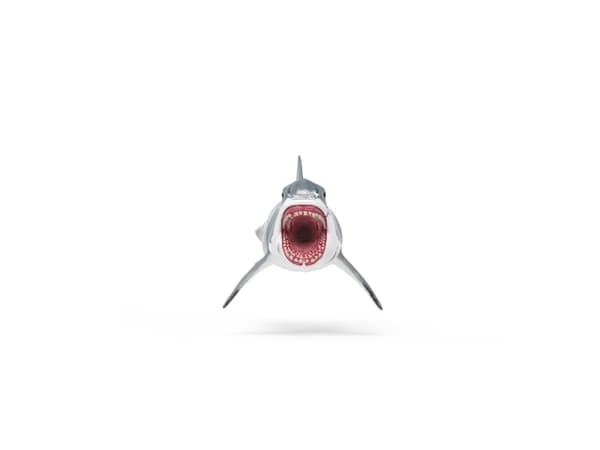Schleich Megalodon