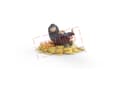 Miniatyrbild 1 av 5: Schleich Niffler with gold