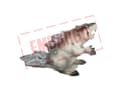 Miniatyrbild 1 av 5: Schleich isgnagare