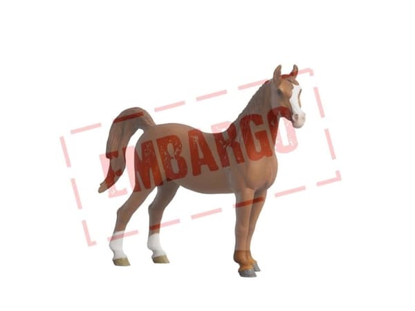 Schleich Collector Araber Stute