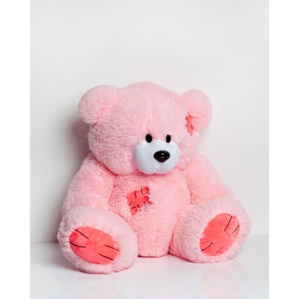 Nallebjörn GO GIFT TEDDY 60 PK Rosa Plysch 60 cm