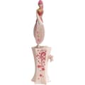 Miniatyrbild 2 av 6: Sky Dancers Flying Doll - Coral Cutie - Batteridriven - Lansay