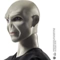 Miniatyrbillede 4 af 6: Harry Potter - Lord Voldemort - Dukke og tilbehør Samleboks Sæt HTM15
