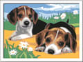 Pikkukuva 2 / 3: Ravensburger 4005556283293, 1 sivua, Maalit mukana, Poika/tyttö, Numerovärityspakkaus