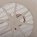 Miniatyrbild 7 av 10: Westmark mjöl- och pulversockersikt med handtag - 250 g - Plast