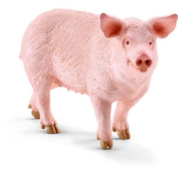 Schleich Pig