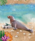 Pikkukuva 4 / 5: Playmobil ® Wiltopia Sea Lion 71288 (71288)