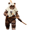 Miniatyrbillede 3 af 5: Hasbro Figur Paploo 40th Anniversary Return Of The Jedi Star Wars 15 Cm Brun