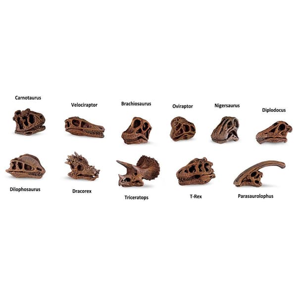 Safari Ltd Dinosaurie Skallar 48 Bitar Figur Brun From 3 Years