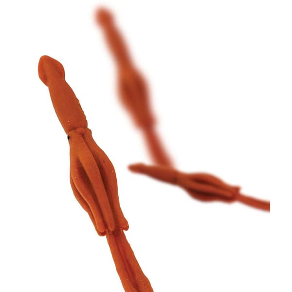 Safari Ltd Giant Squids Good Luck Minis Figure