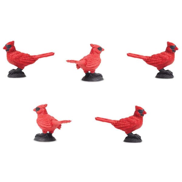 Safari Ltd Educational Cardinal 192 Stykker Figur Rød