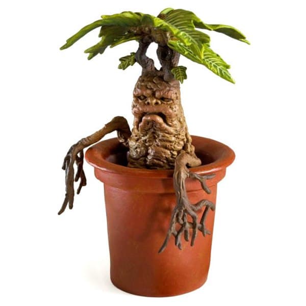 Noble Collection Magiske Skabninger Mandrake Figur 13 Cm Brun