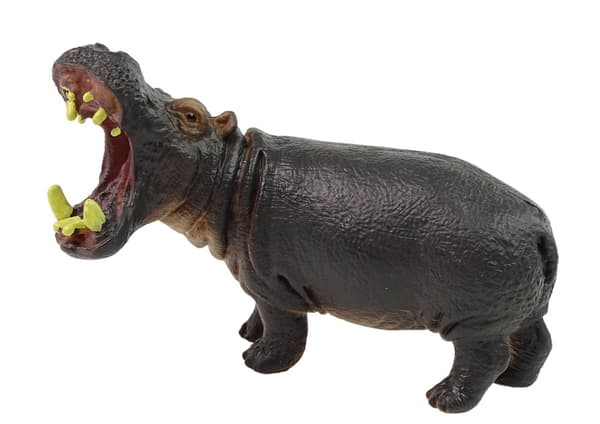 Stor samlerfigur Hippopotamus Dyr i verden