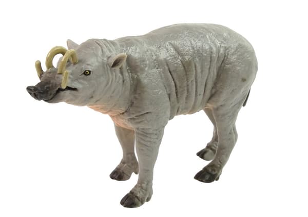 Samlefigur Babirussa Sulaweska Verdens dyr