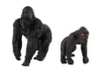 Miniatyrbild 2 av 3: Set med 2 gorillafigurer Gorilla med världens unga djur
