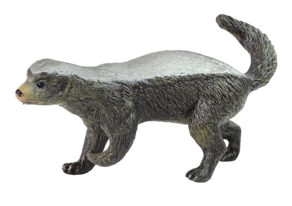 Figur Honning-spisende Ratel Dyr Afrika