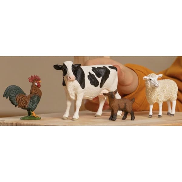 Schleich Farm World 42729 - Gårdsstartsæt